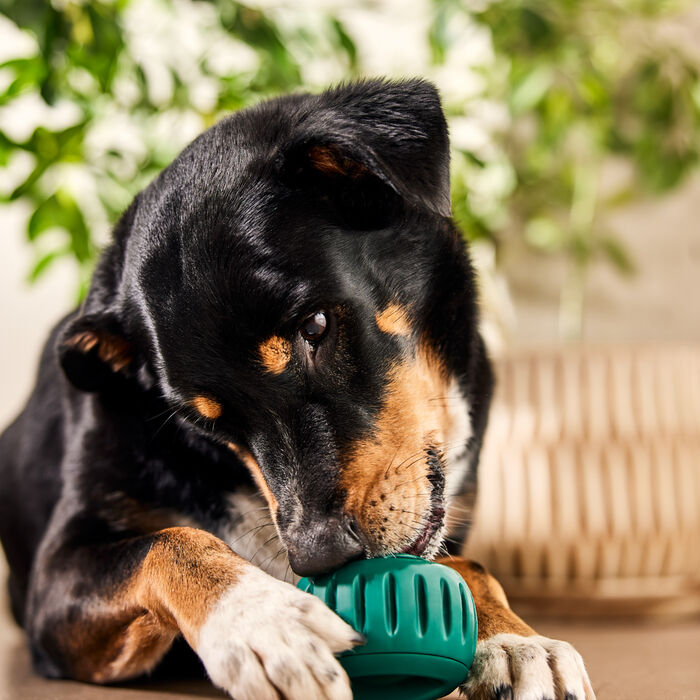 14381 product detail number 1.0