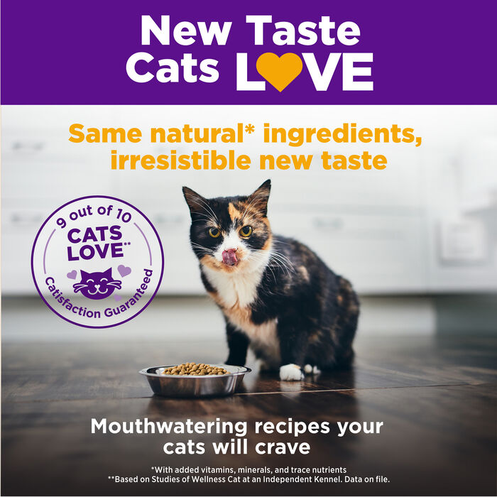 63619 product detail number 1.0