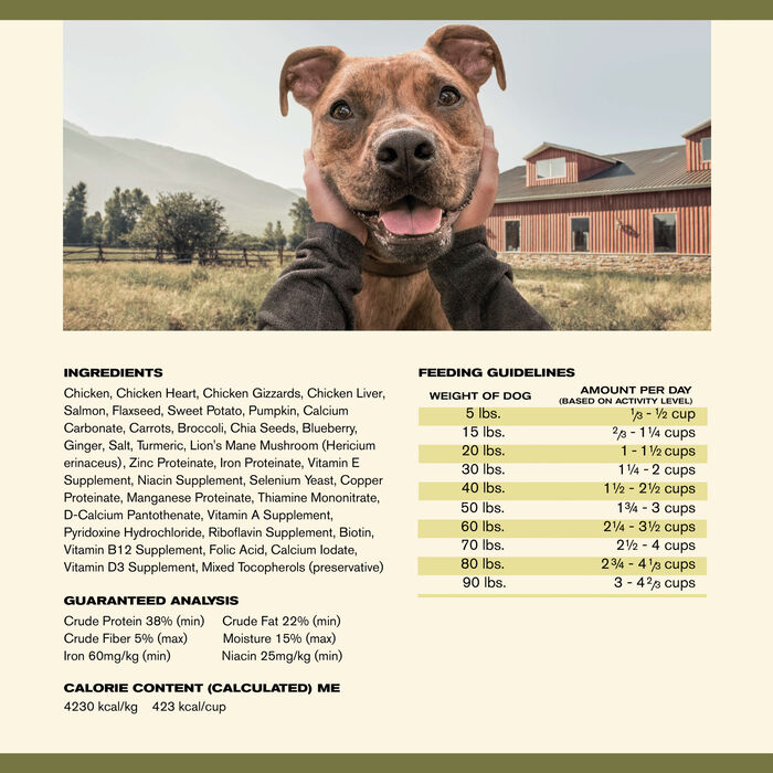 13761 product detail number 1.0