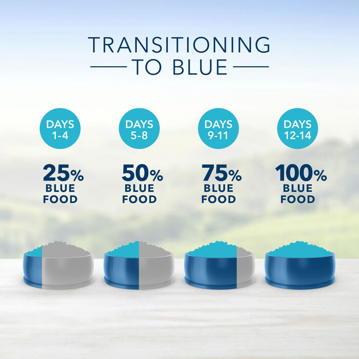 63918 product detail number 1.0