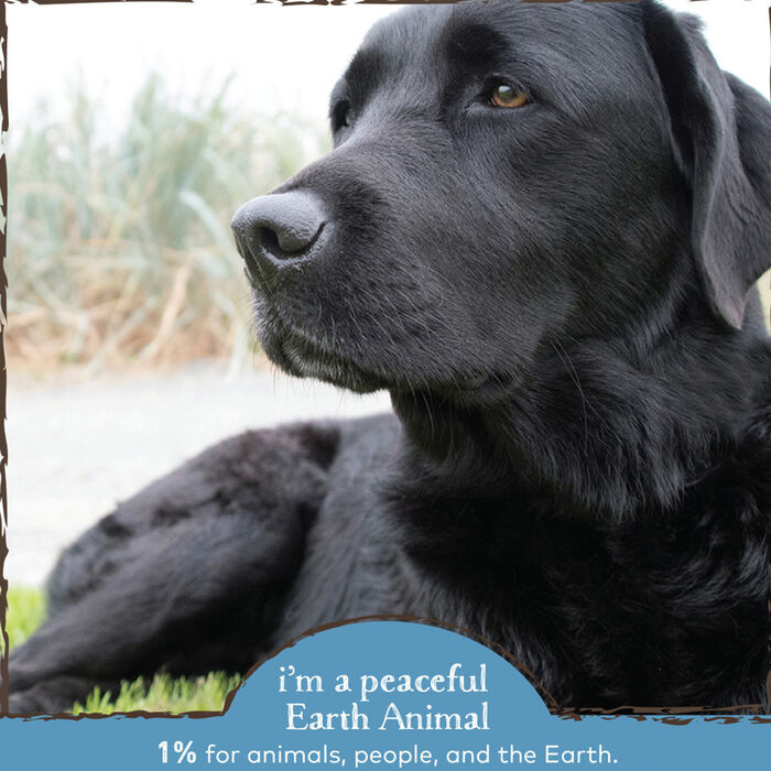 61597 product detail number 1.0