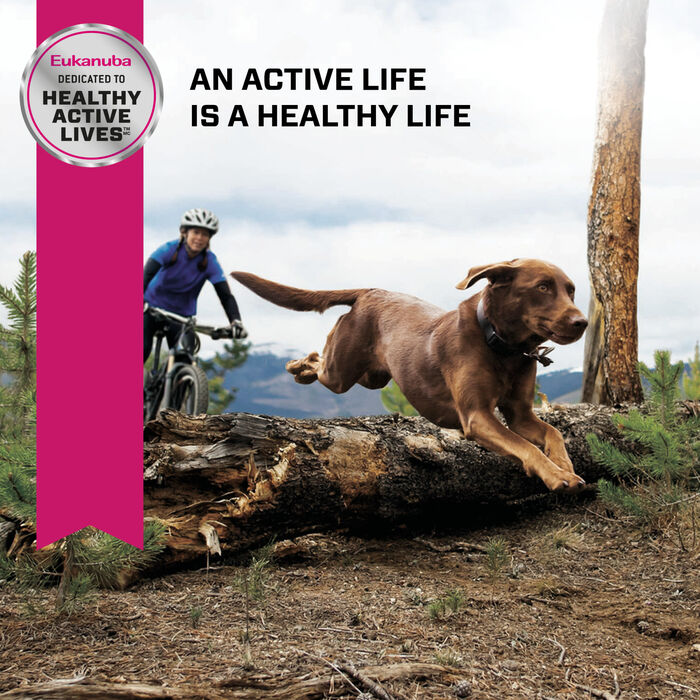 61840 product detail number 1.0