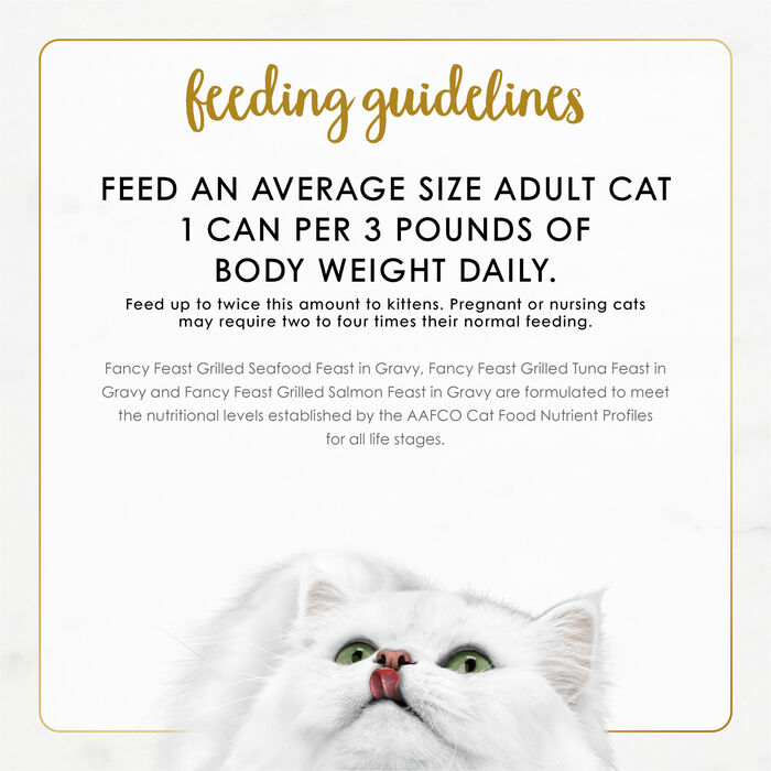 63057 product detail number 1.0