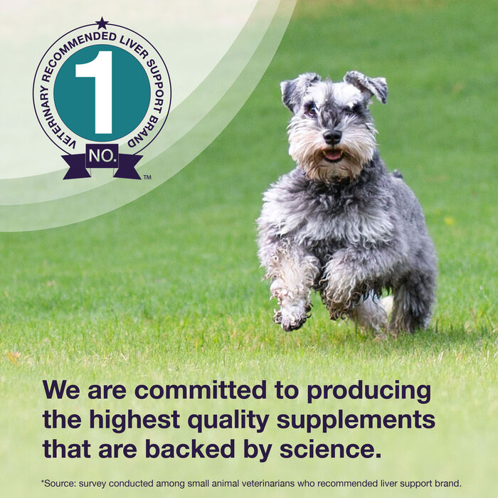 11008 product detail number 1.0