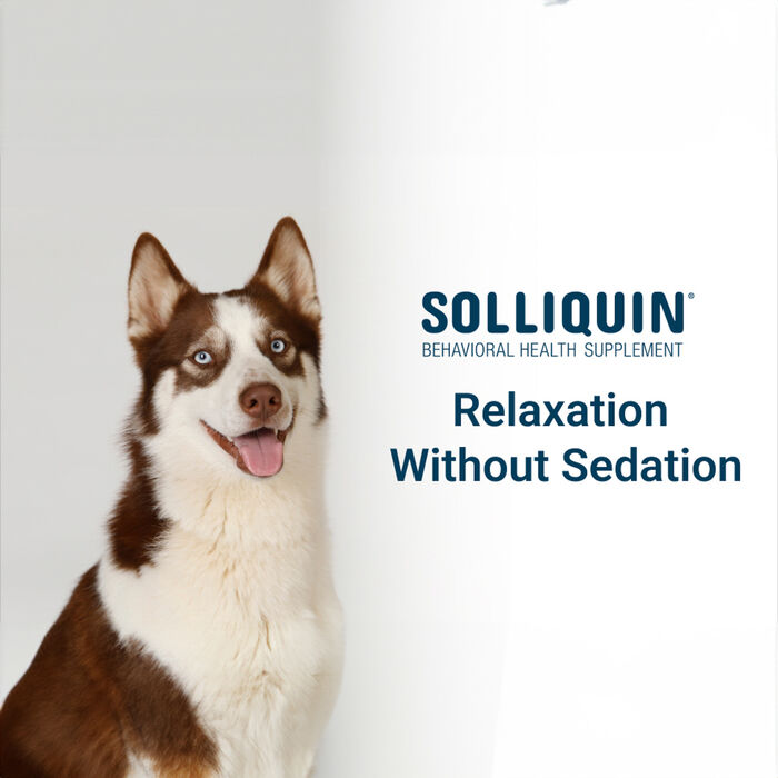 12094 product detail number 1.0