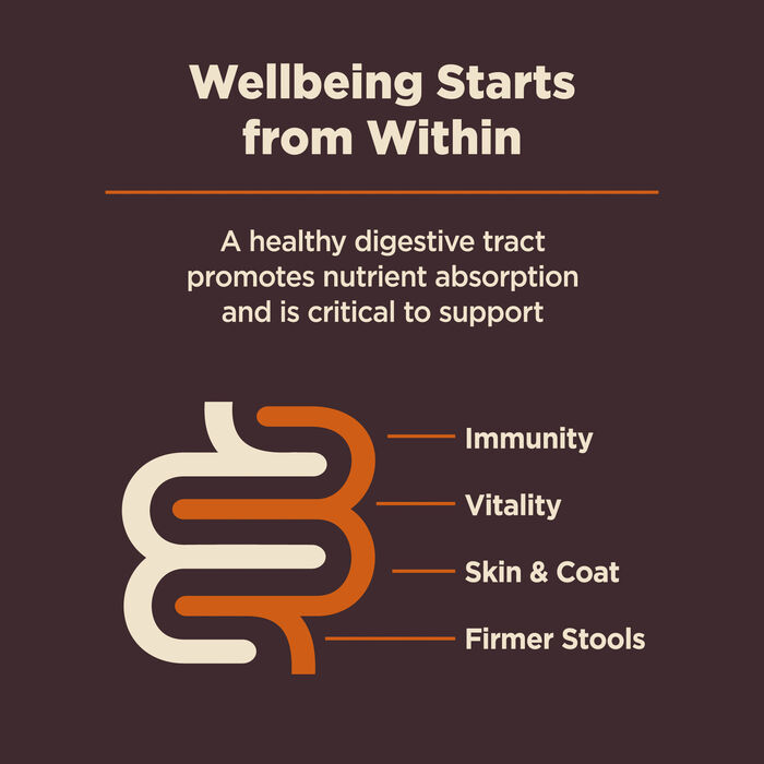 63676 product detail number 1.0