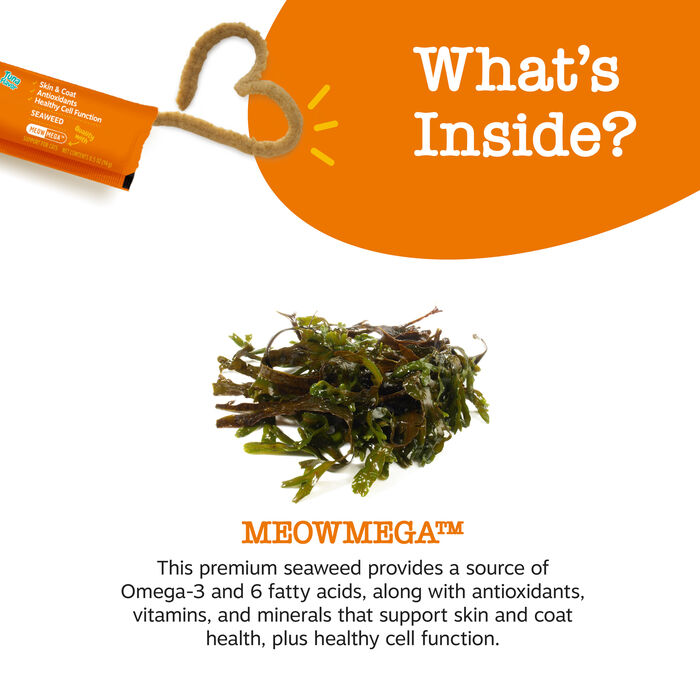 Bundle: Farmina + Zesty Paws Food & Supplement - Skin & Coat Care Bundle for Cats product detail number 1.0