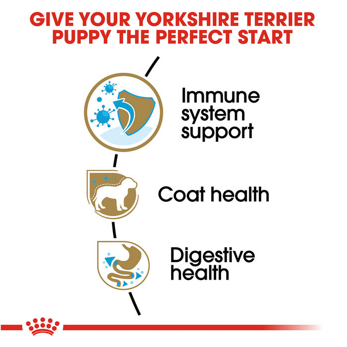 66674 product detail number 1.0