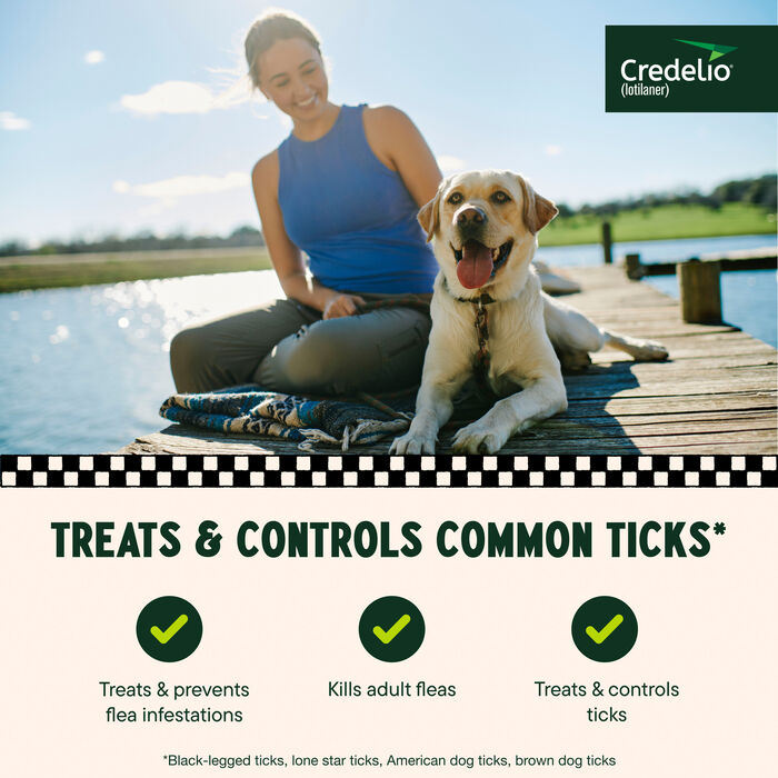 11936 product detail number 1.0