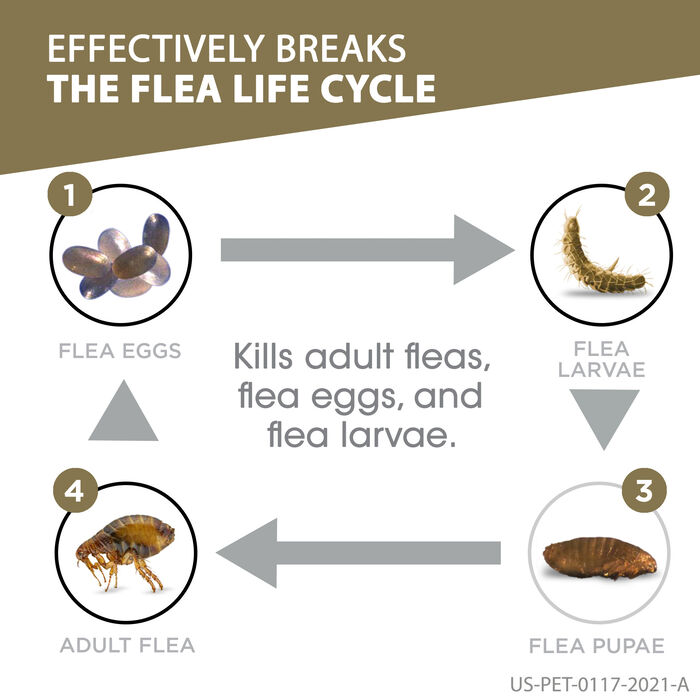 10543 product detail number 1.0