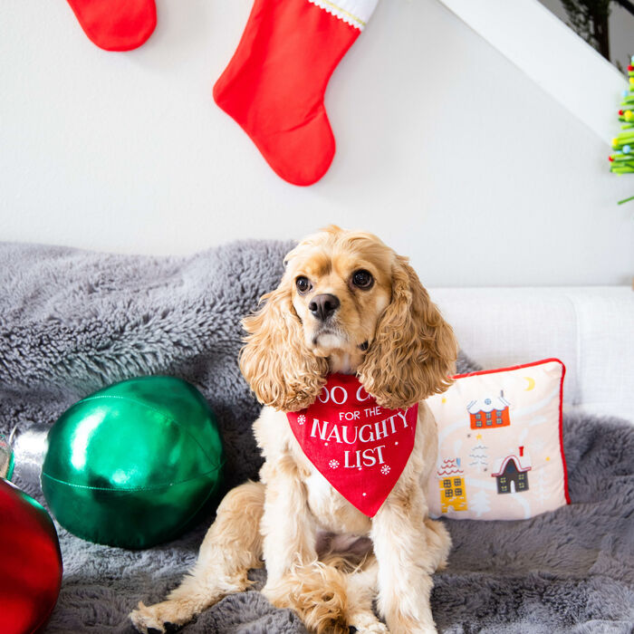 13241 product detail number 1.0