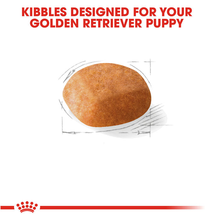 66693 product detail number 1.0