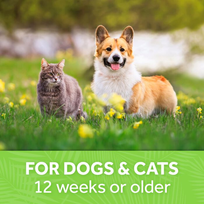 62701 product detail number 1.0