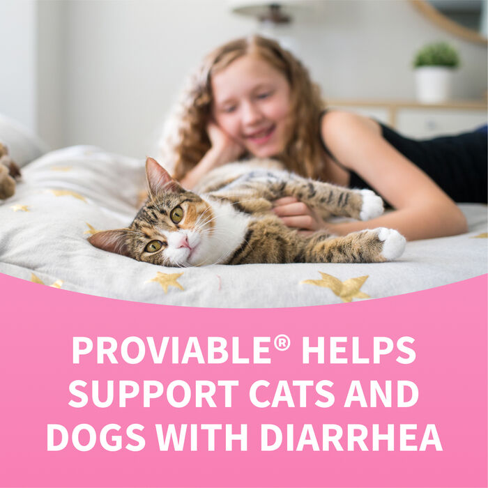 12083 product detail number 1.0