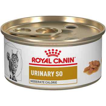 Royal Canin Veterinary Diet Feline Urinary SO Moderate Calorie Morsels in Gravy Wet Cat Food - 3 oz Cans - Case of 24-product-tile