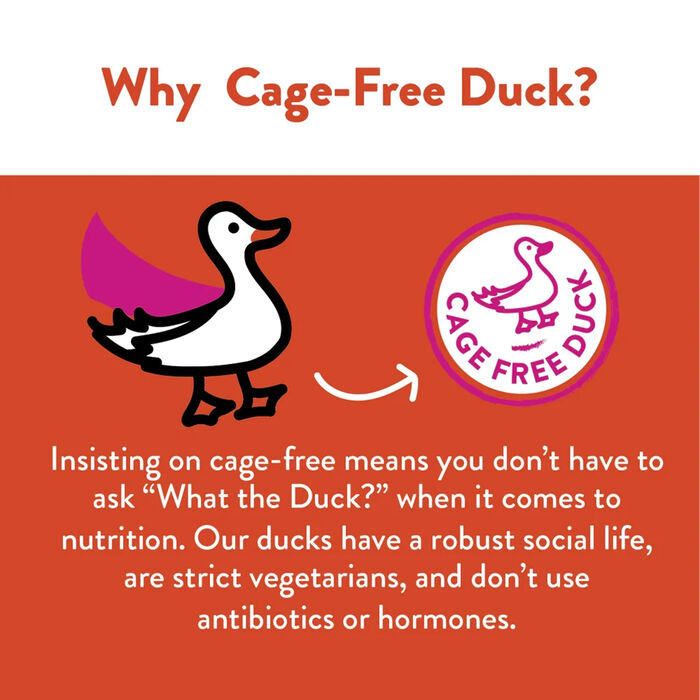 14245 product detail number 1.0