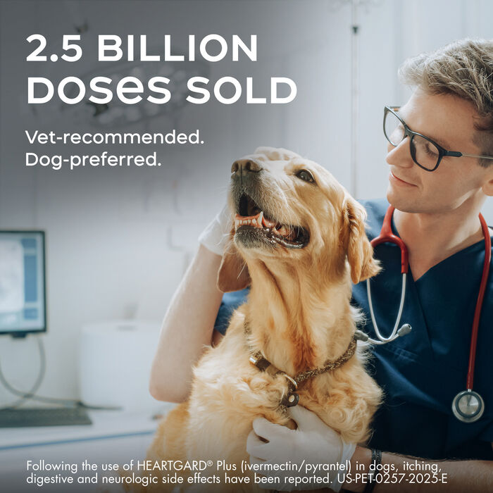 10002 10002 product detail number 1.0