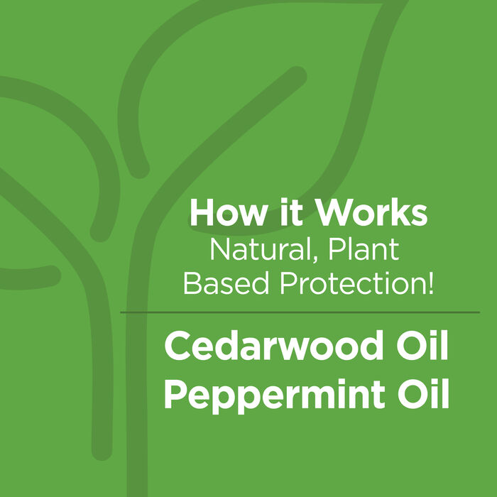 14439 product detail number 1.0