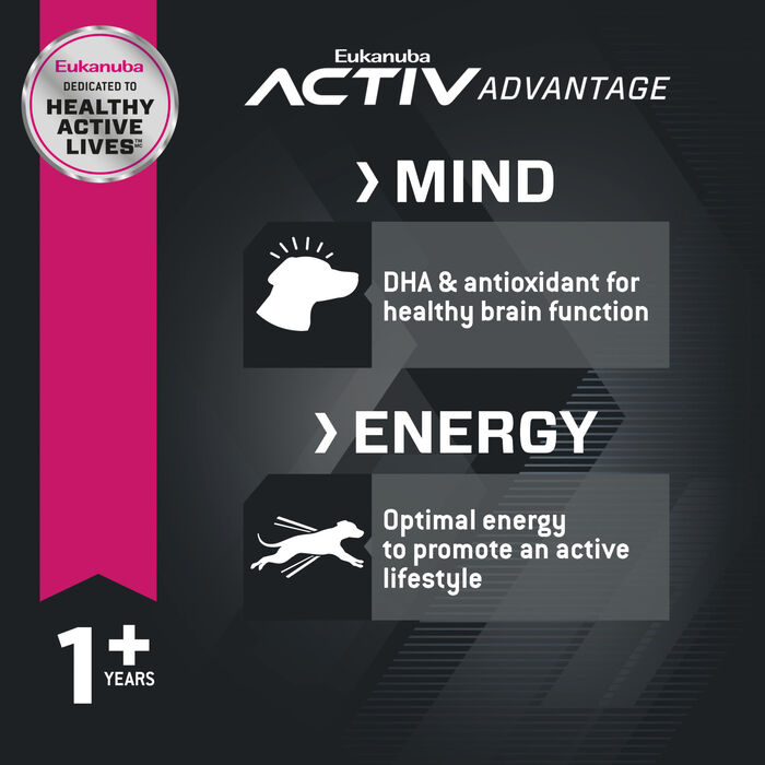 61844 product detail number 1.0