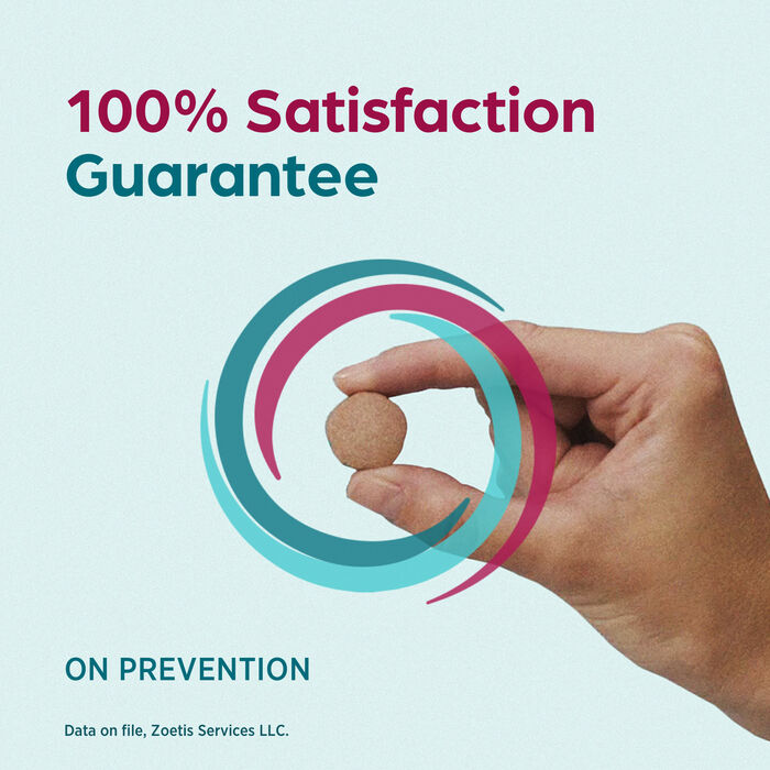 13399 13399 product detail number 1.0