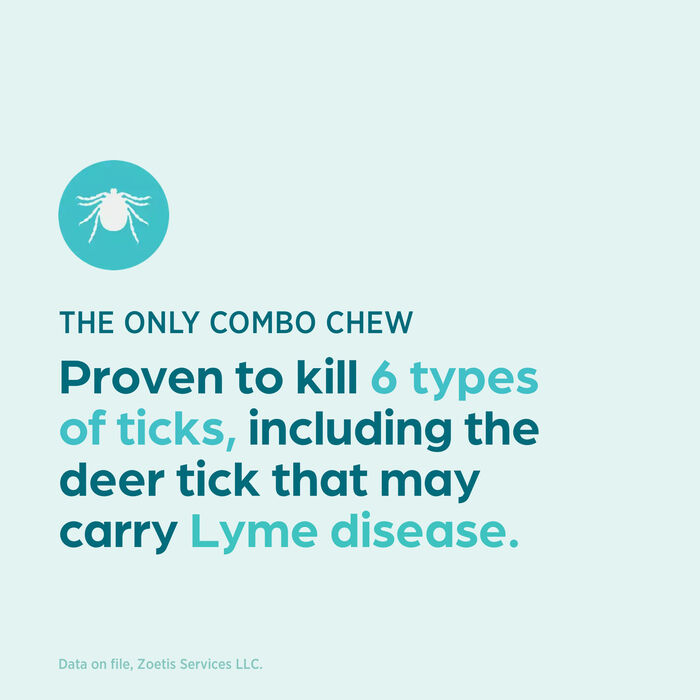 13399 13399 product detail number 1.0