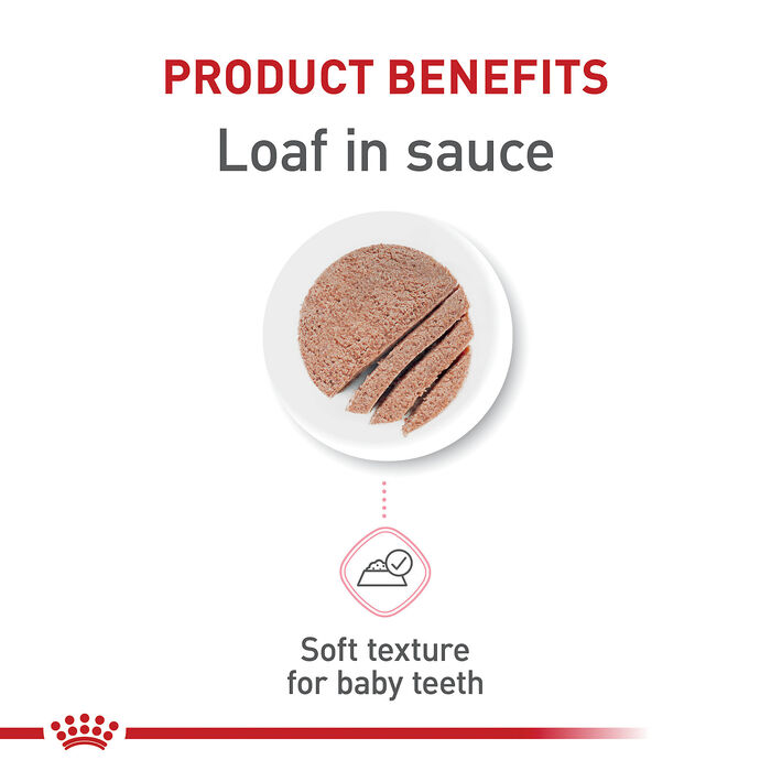 66744 product detail number 1.0