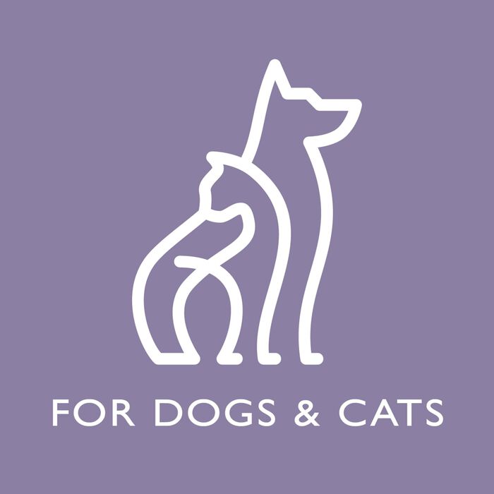 62689 product detail number 1.0