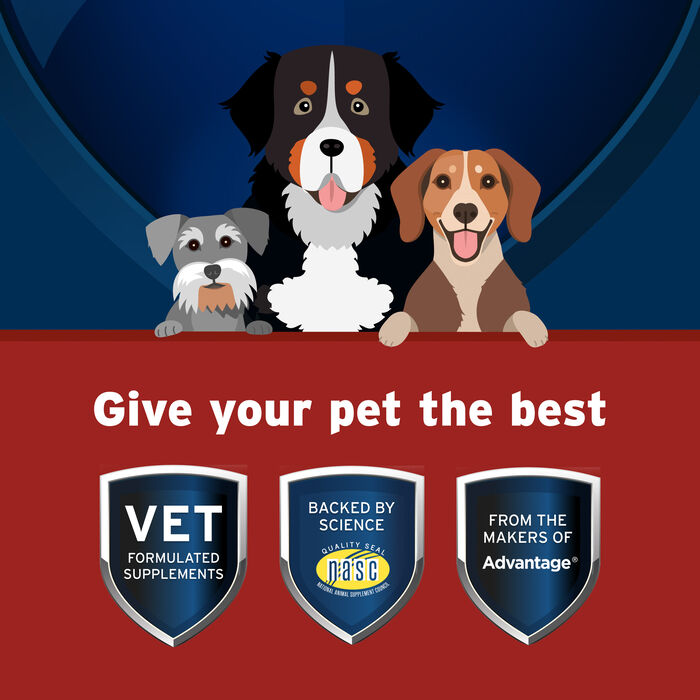 11325 11325 product detail number 1.0