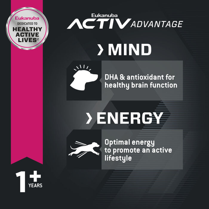 61841 product detail number 1.0