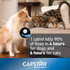 Bundle: Capstar + Flea5X Plus - Flea Treatment Bundle for Dogs