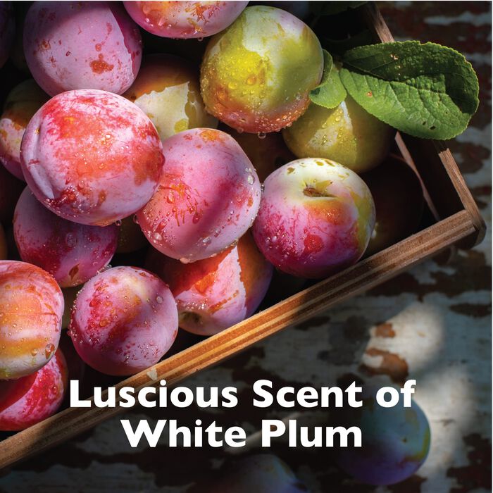 62689 product detail number 1.0