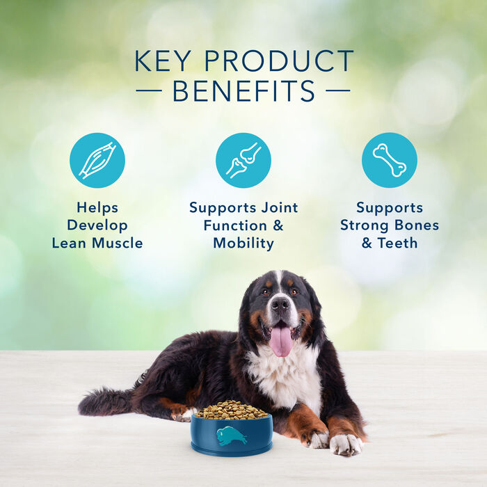 64171 product detail number 1.0