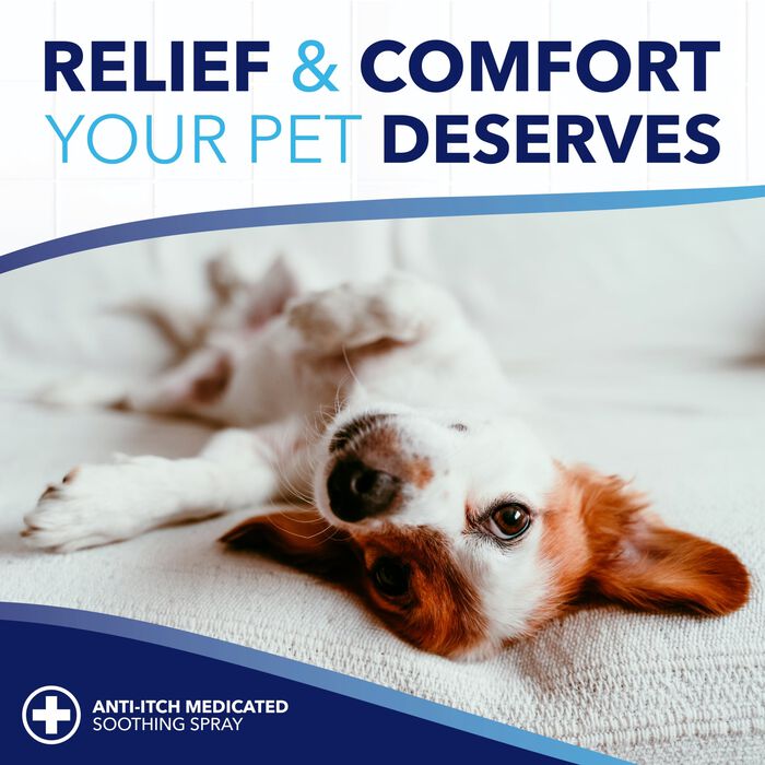 62642 product detail number 1.0