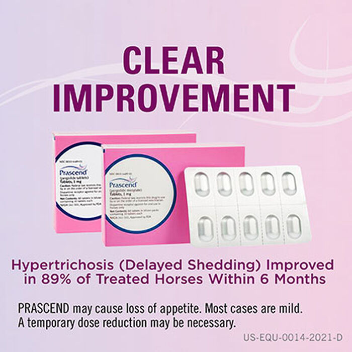 12147 product detail number 1.0