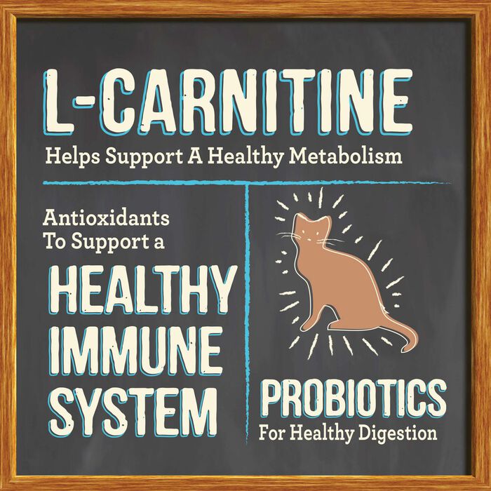 65133 product detail number 1.0