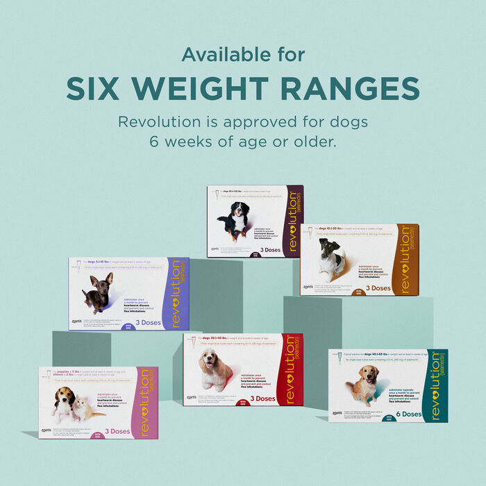 10265 product detail number 1.0