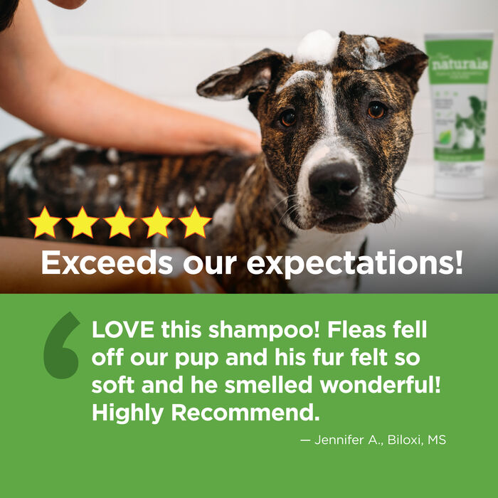 14440 product detail number 1.0