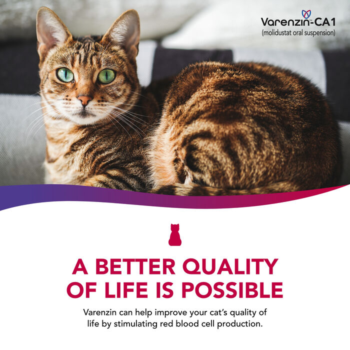 14464 product detail number 1.0