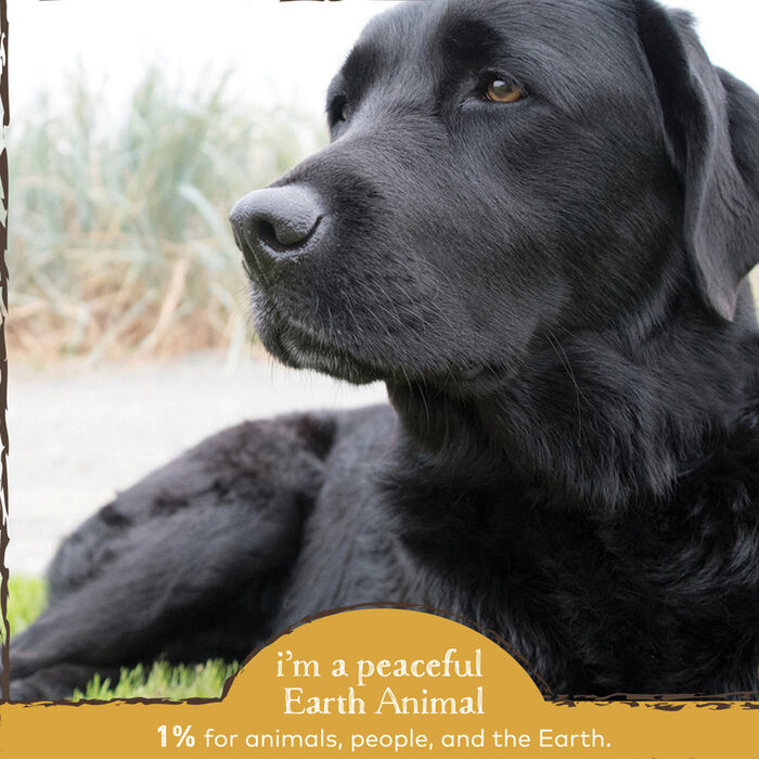 61599 product detail number 1.0