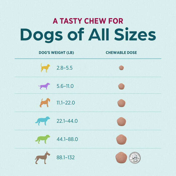 13399 13399 product detail number 1.0