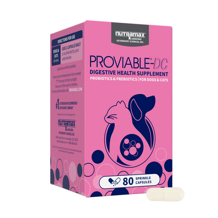 Bundle: Nutramax Proviable + Welactin - Digestive & Skin Support Bundle for Dogs product detail number 1.0