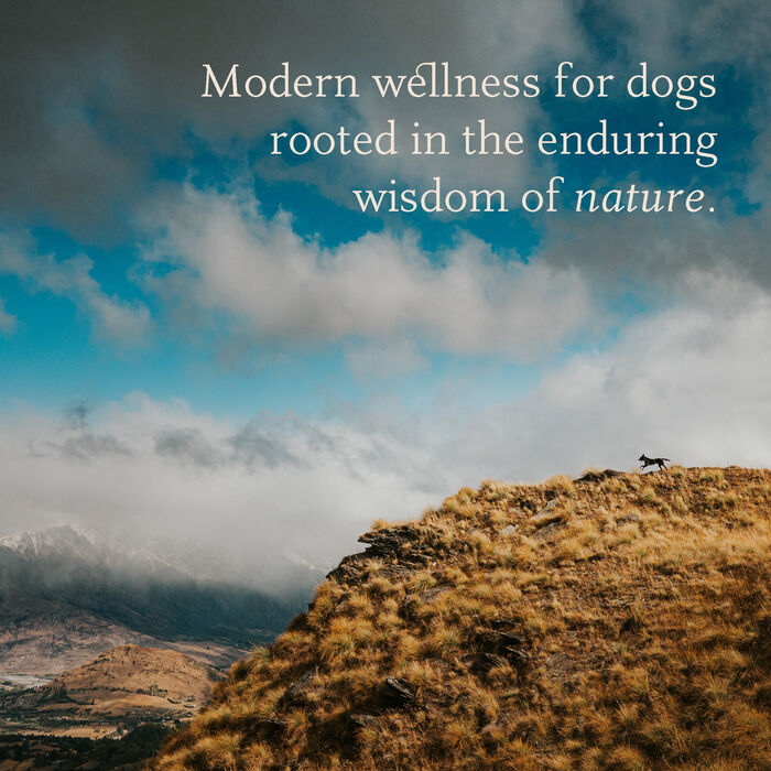 14461 product detail number 1.0