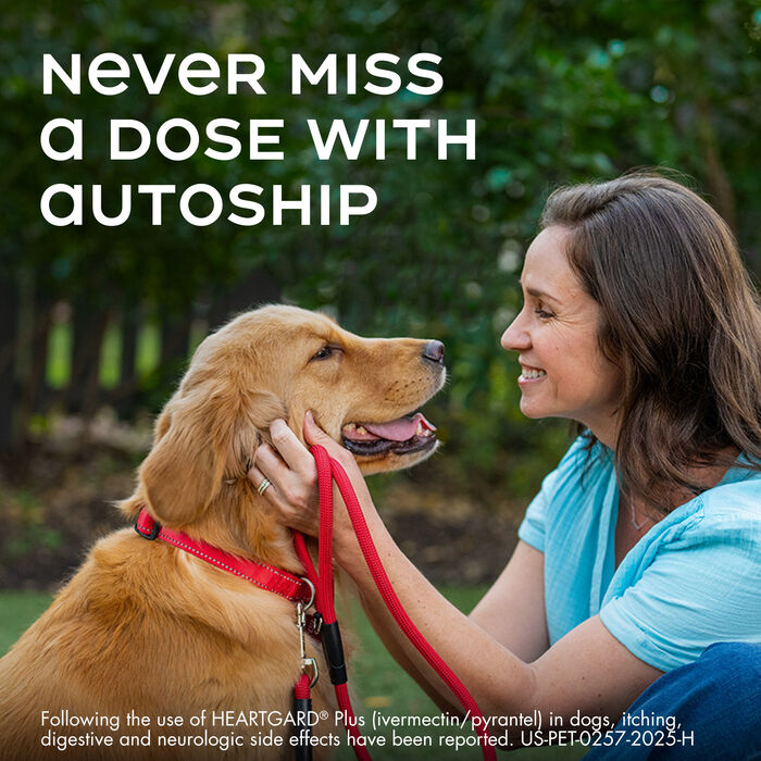 10002 10002 product detail number 1.0