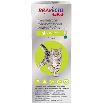 Bravecto Plus 2.6-6.2 lbs 1 pk-product-tile