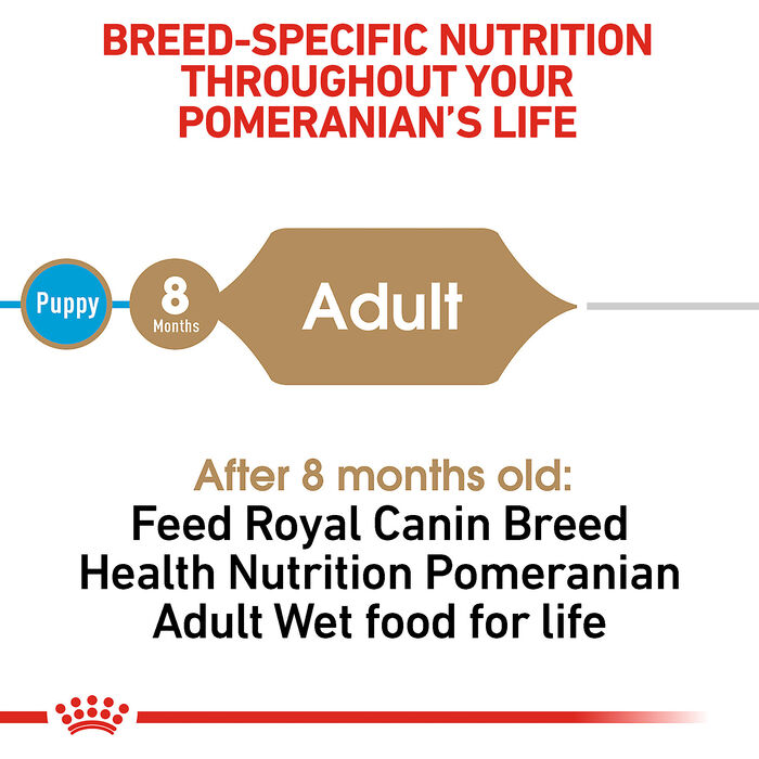 66700 product detail number 1.0