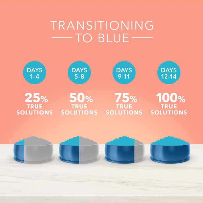 66916 product detail number 1.0