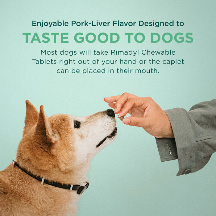 102610 product detail number 1.0