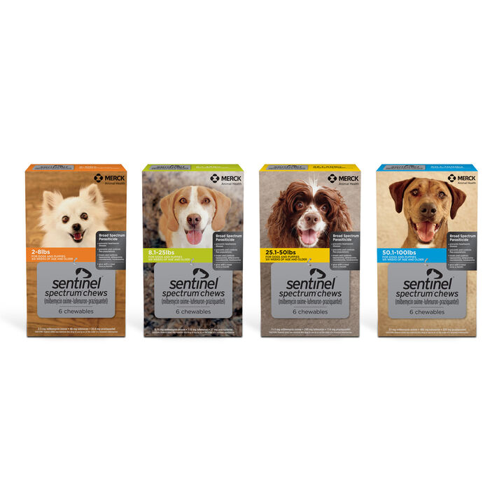 10388 10388 product detail number 1.0