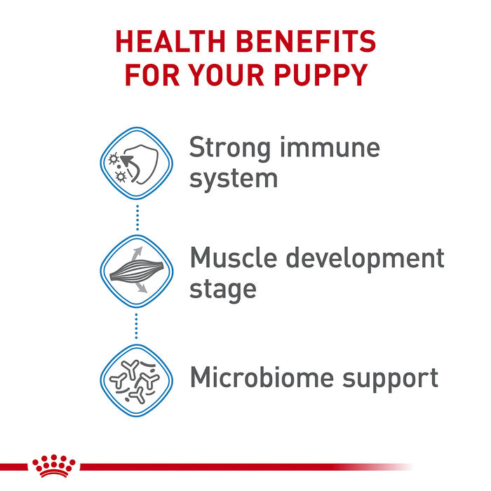 66771 product detail number 1.0