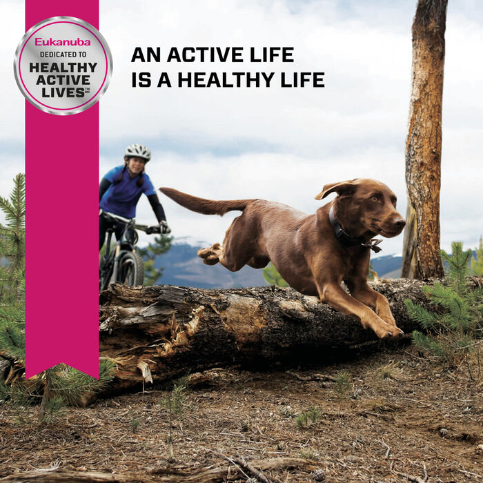 68108 product detail number 1.0